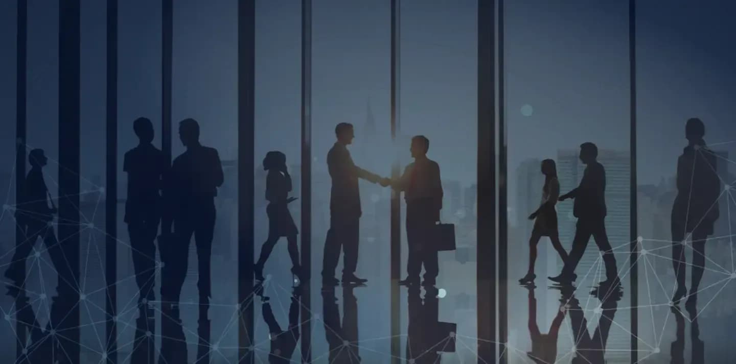 We are lookings for talented team members